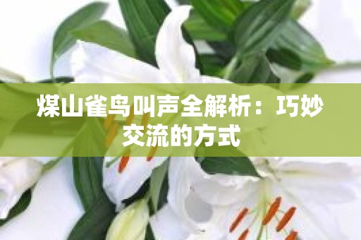 煤山雀鸟叫声全解析：巧妙交流的方式