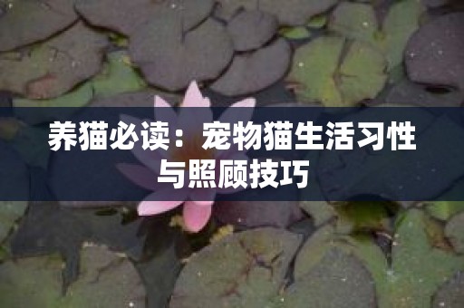养猫必读：宠物猫生活习性与照顾技巧