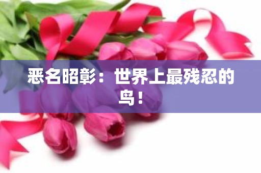 恶名昭彰：世界上最残忍的鸟！