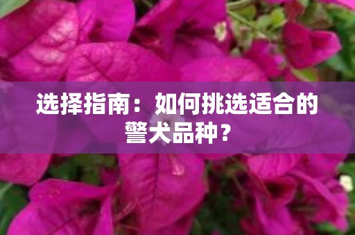 选择指南：如何挑选适合的警犬品种？
