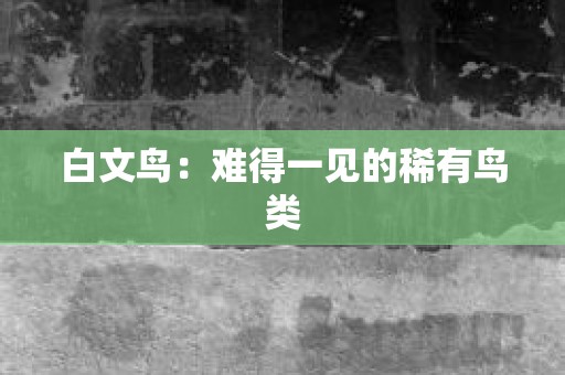 白文鸟：难得一见的稀有鸟类