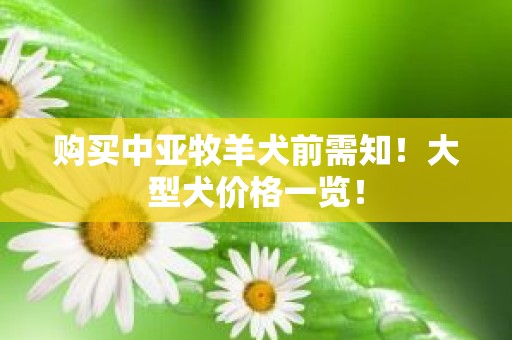 购买中亚牧羊犬前需知！大型犬价格一览！