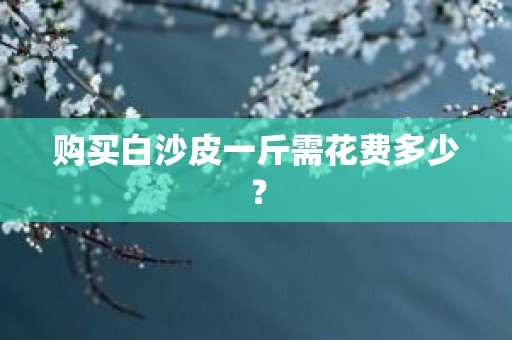 购买白沙皮一斤需花费多少？