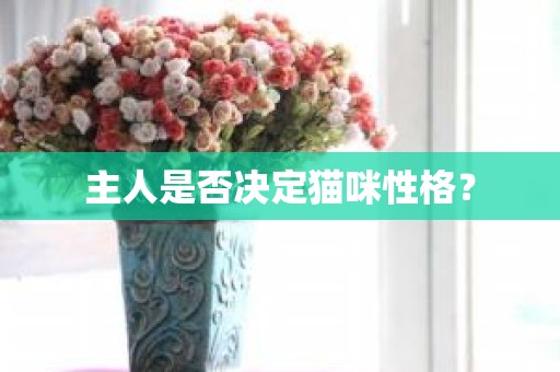 主人是否决定猫咪性格？