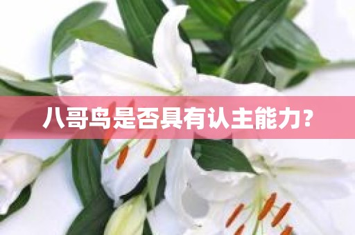 八哥鸟是否具有认主能力？