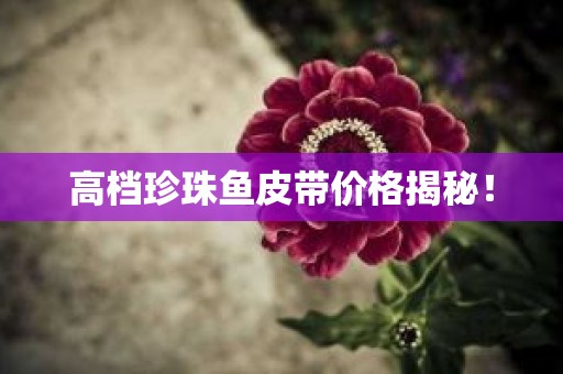 高档珍珠鱼皮带价格揭秘！