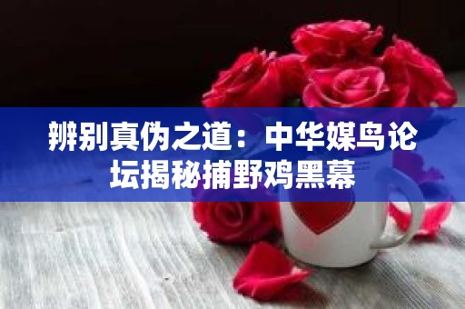 辨别真伪之道：中华媒鸟论坛揭秘捕野鸡黑幕