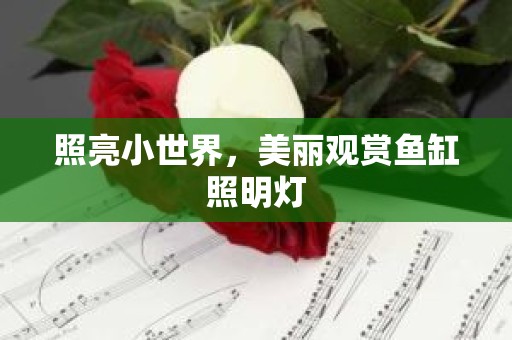 照亮小世界，美丽观赏鱼缸照明灯