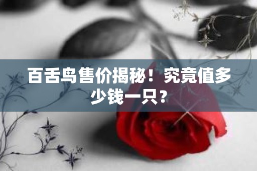 百舌鸟售价揭秘！究竟值多少钱一只？