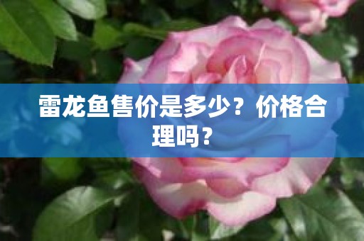 雷龙鱼售价是多少？价格合理吗？