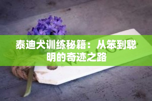 泰迪犬训练秘籍：从笨到聪明的奇迹之路