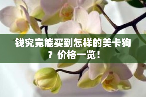 钱究竟能买到怎样的美卡狗？价格一览！