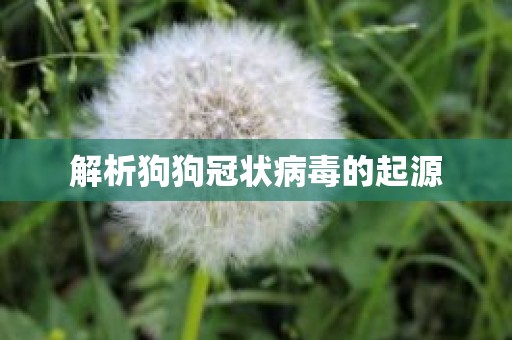 解析狗狗冠状病毒的起源