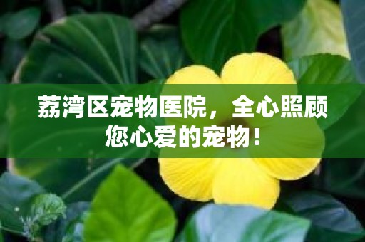 荔湾区宠物医院，全心照顾您心爱的宠物！