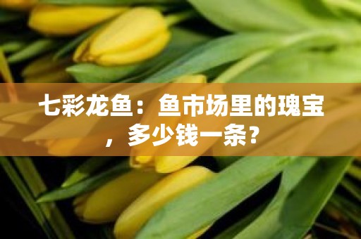 七彩龙鱼：鱼市场里的瑰宝，多少钱一条？