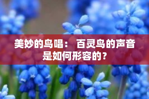 美妙的鸟唱： 百灵鸟的声音是如何形容的？
