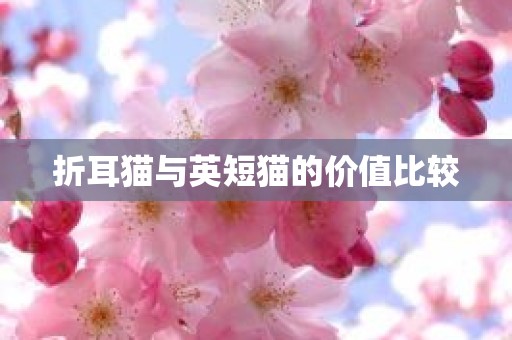 折耳猫与英短猫的价值比较