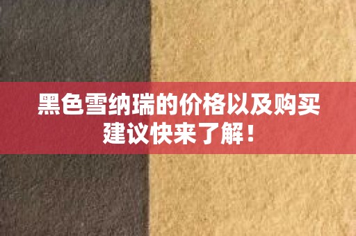 黑色雪纳瑞的价格以及购买建议快来了解！