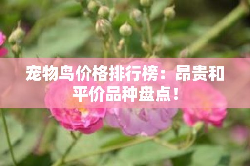 宠物鸟价格排行榜：昂贵和平价品种盘点！