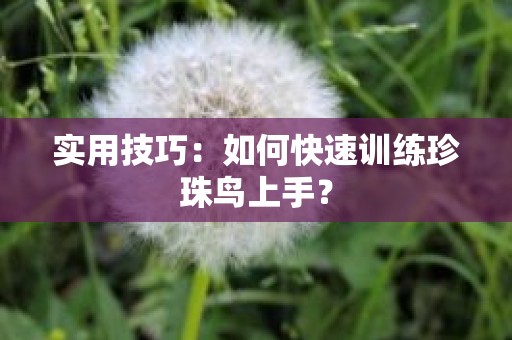 实用技巧：如何快速训练珍珠鸟上手？