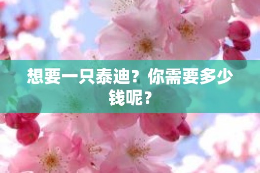 想要一只泰迪？你需要多少钱呢？