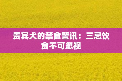 贵宾犬的禁食警讯：三忌饮食不可忽视