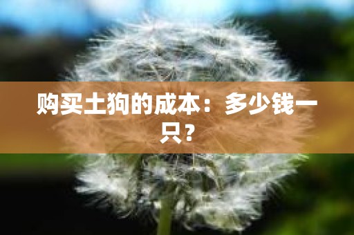 购买土狗的成本：多少钱一只？