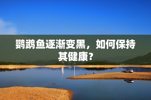 鹦鹉鱼逐渐变黑，如何保持其健康？