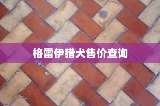 格雷伊猎犬售价查询