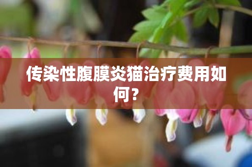 传染性腹膜炎猫治疗费用如何？