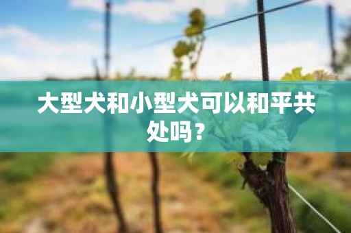 大型犬和小型犬可以和平共处吗？