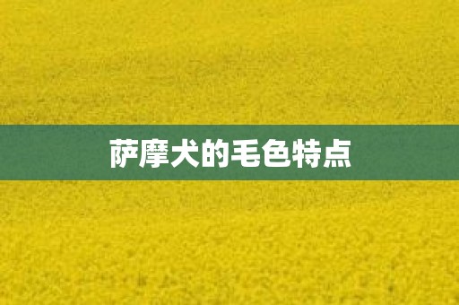 萨摩犬的毛色特点