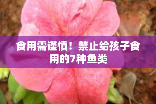 食用需谨慎！禁止给孩子食用的7种鱼类