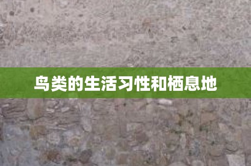 鸟类的生活习性和栖息地