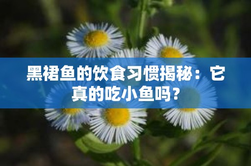 黑裙鱼的饮食习惯揭秘：它真的吃小鱼吗？