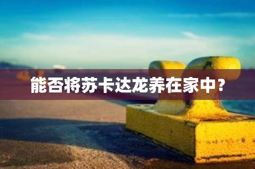 能否将苏卡达龙养在家中？