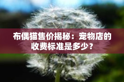 布偶猫售价揭秘：宠物店的收费标准是多少？