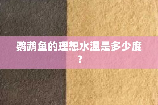 鹦鹉鱼的理想水温是多少度？