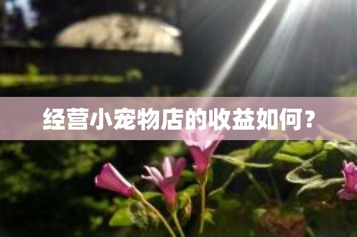 经营小宠物店的收益如何？