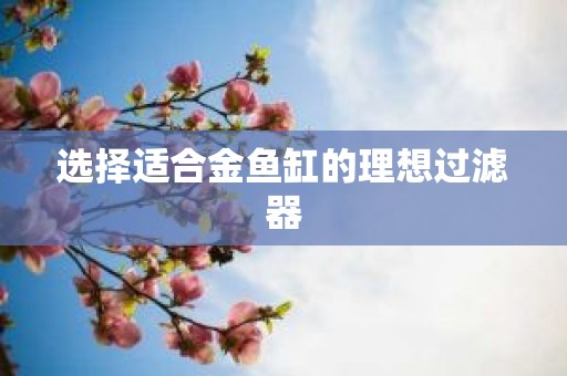 选择适合金鱼缸的理想过滤器