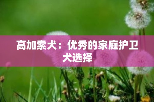 高加索犬：优秀的家庭护卫犬选择