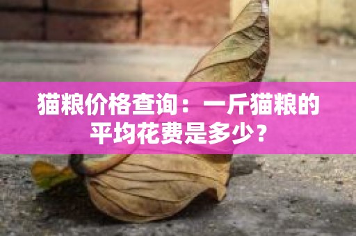 猫粮价格查询：一斤猫粮的平均花费是多少？