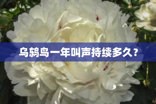 乌鸫鸟一年叫声持续多久？