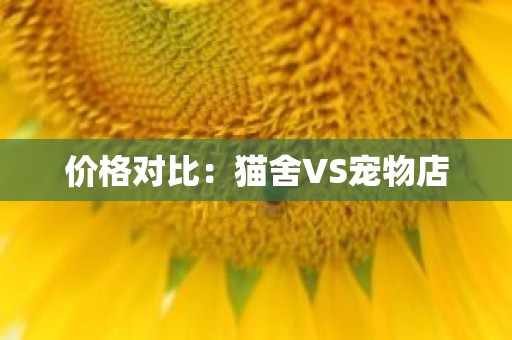 价格对比：猫舍VS宠物店