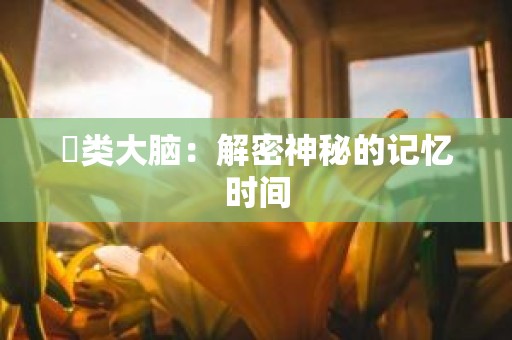 魚类大脑：解密神秘的记忆时间