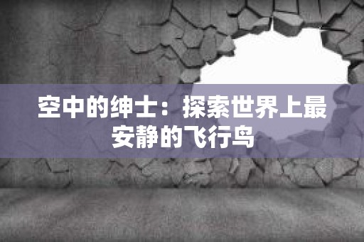 空中的绅士：探索世界上最安静的飞行鸟