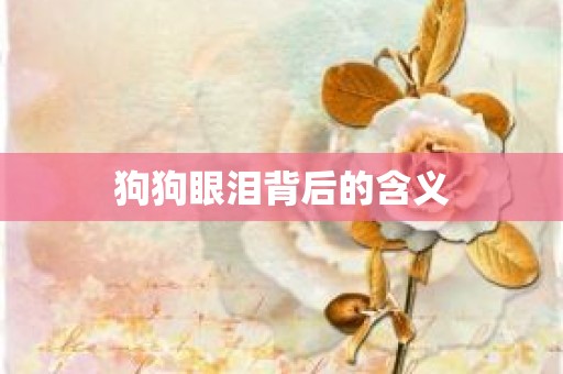 狗狗眼泪背后的含义