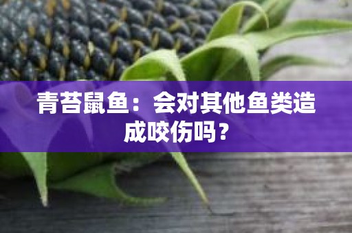 青苔鼠鱼：会对其他鱼类造成咬伤吗？
