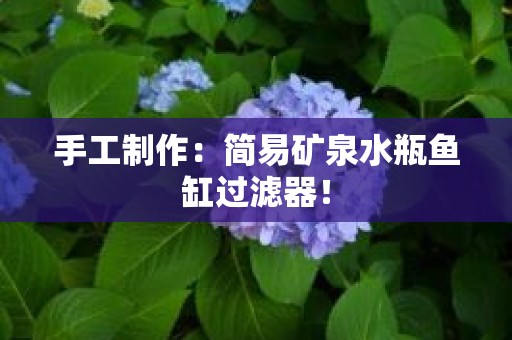 手工制作：简易矿泉水瓶鱼缸过滤器！