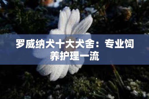 罗威纳犬十大犬舍：专业饲养护理一流